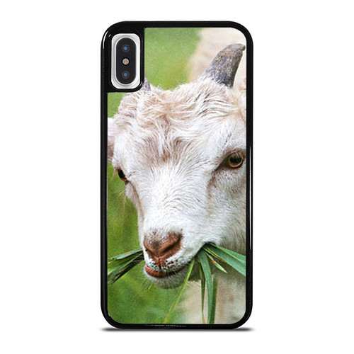 Goat Eating Grass iPhone XR / X / XS / XS Max Case Cover