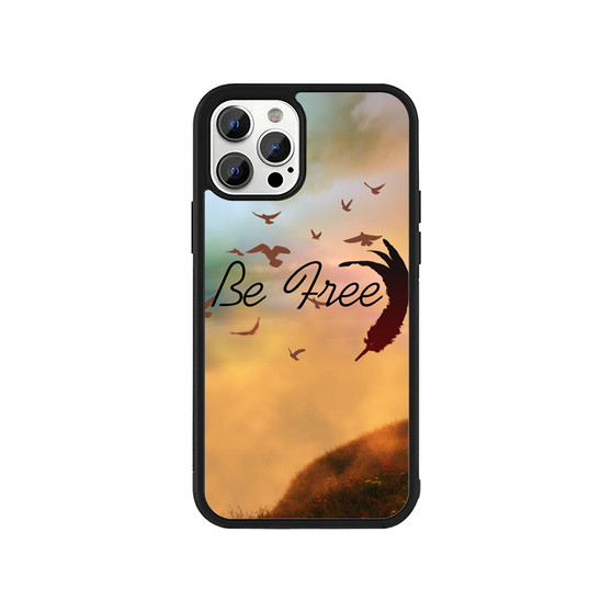 A Flock Of Seagulls iPhone 13 / 13 Mini / 13 Pro / 13 Pro Max Case Cover