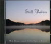 Still Waters