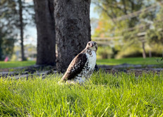 Photo Contest: November 2022