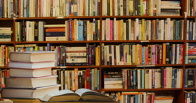 Once Upon a Mind in America: Builders or Activists? Once Upon a Mind in America: Builders or Activists?