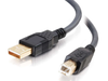 JH645A - Arista