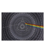 Pink Floyd PF Dark Side 3D Shadow Tapestry