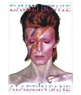 Bowie Aladdin Sane Magnet