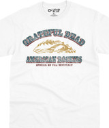 Grateful Dead American Rockies T-Shirt Tee by Liquid Blue