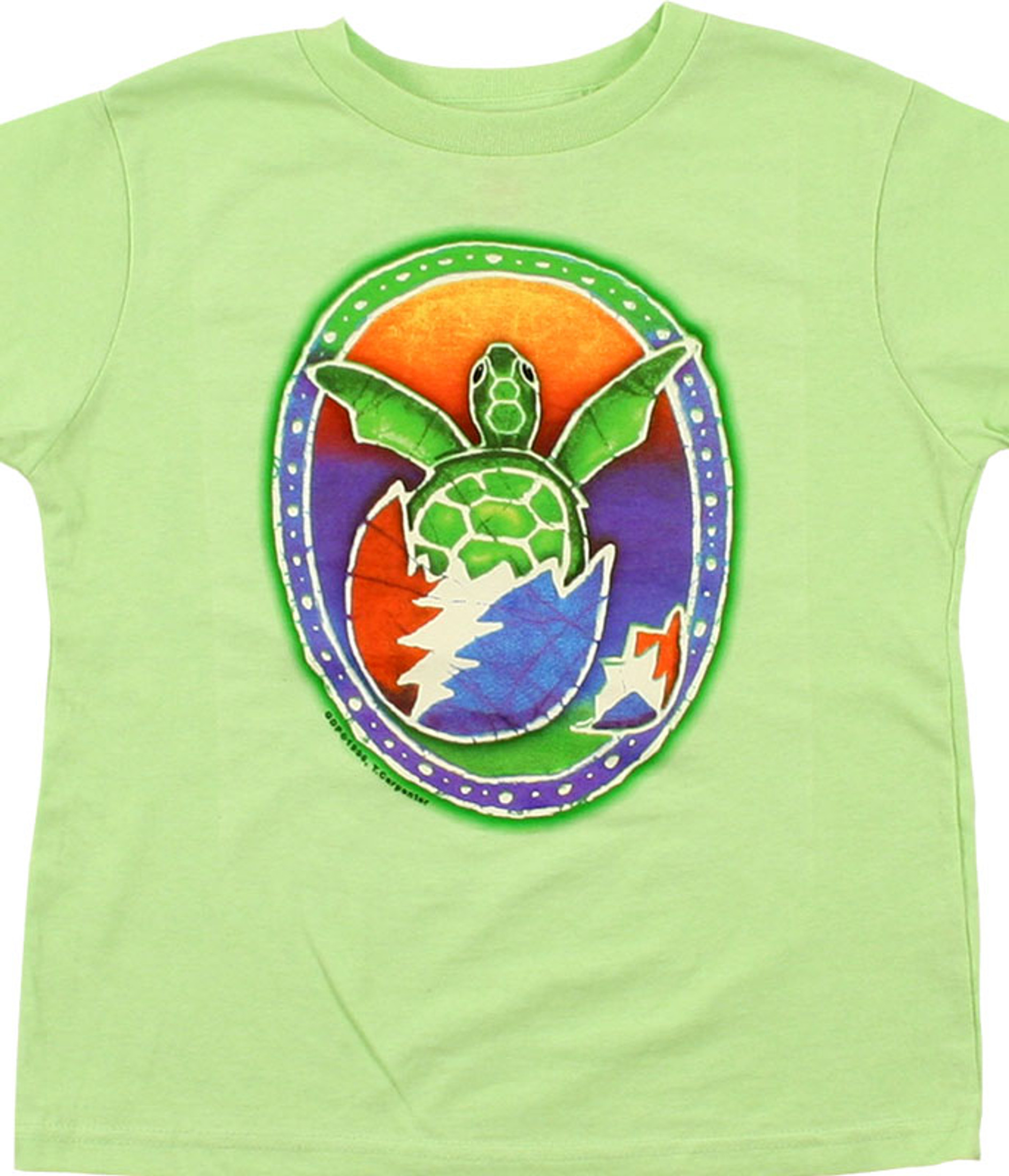 Tour de Turtles 2020 Virtual Run Race T-Shirt – Sea Turtle Conservancy