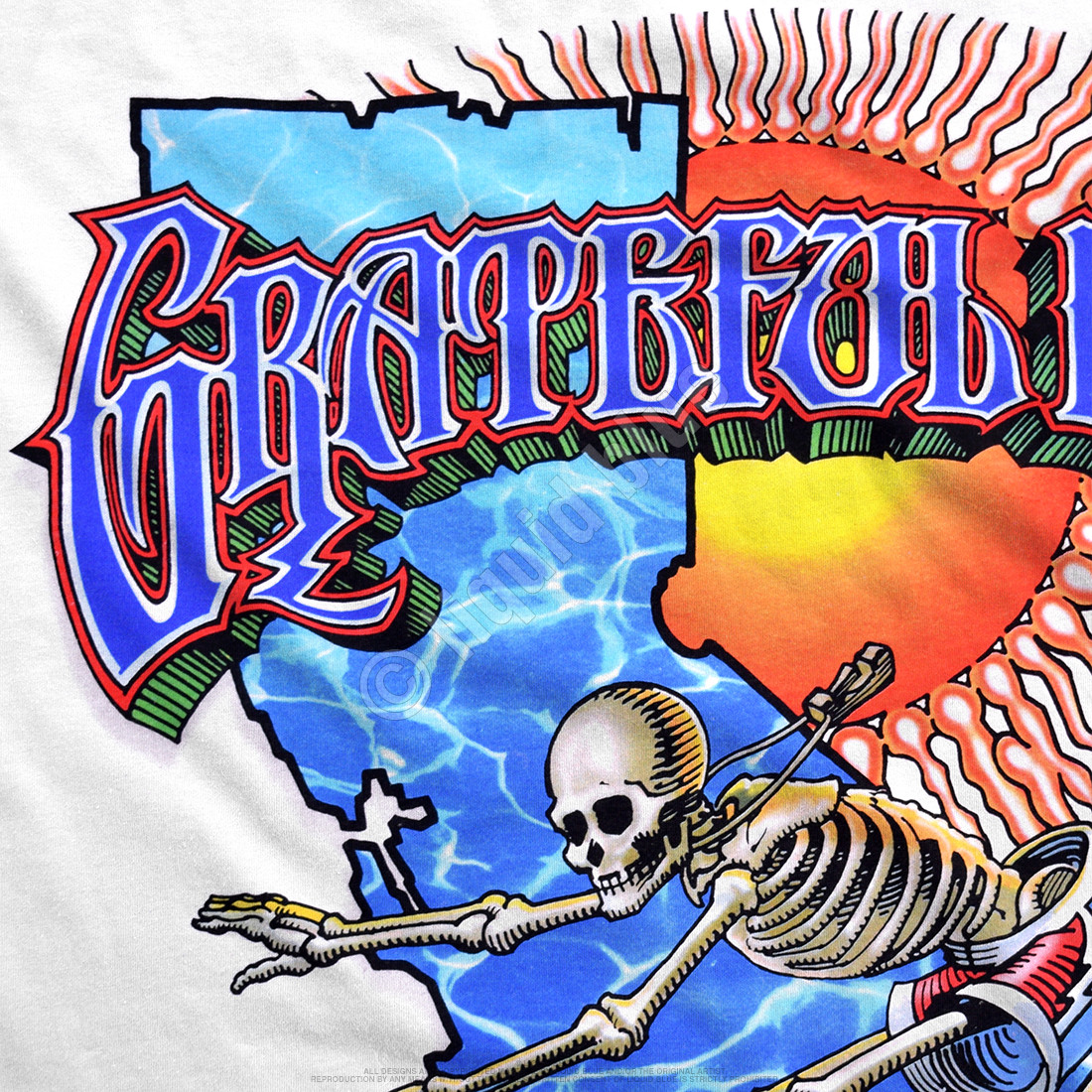 The Grateful Dead Skeleton Rose Club Tee By Daydreamer LA – Black Salt - Foto 3