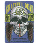 The Vault Grateful Dead 1994 07-01 Backstage Pass Liquid Blue