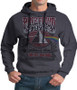 Pink Floyd Carnegie Hall Dark Heather Pullover Hoodie Liquid Blue