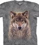 Gray Wolf Forest Classic Cotton T-Shirt by The Mountain