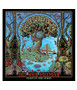 Grateful Dead 2027 Wall Calendar
