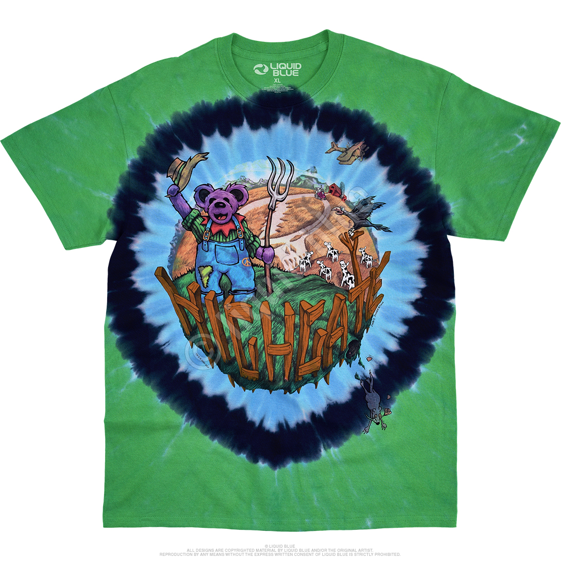 Vintage Grateful Dead 'Truckin Summer' 1995 Tour T-Shirt