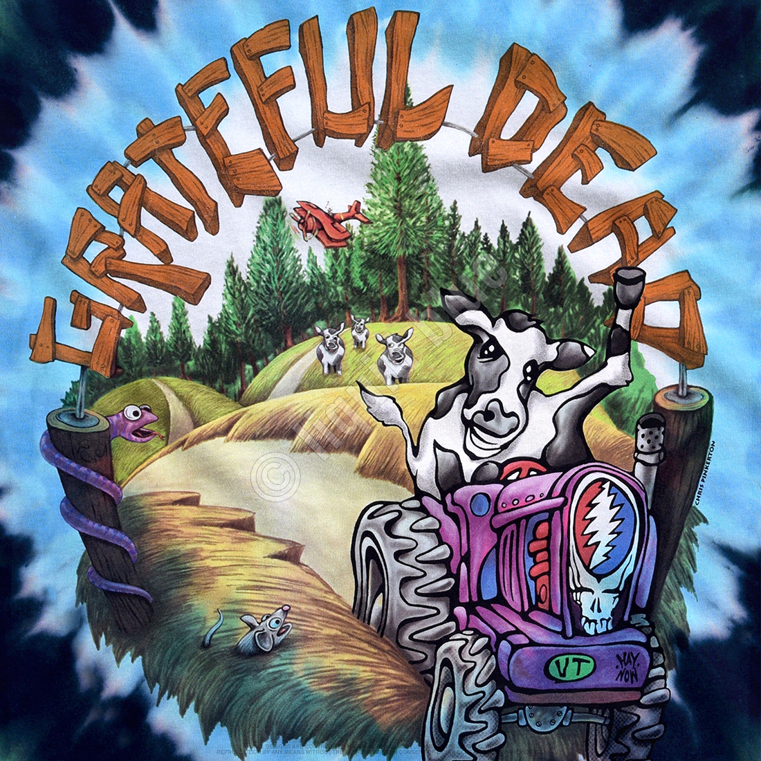 Grateful Dead Highgate Tie-Dye T-Shirt - Deaf Man Vinyl