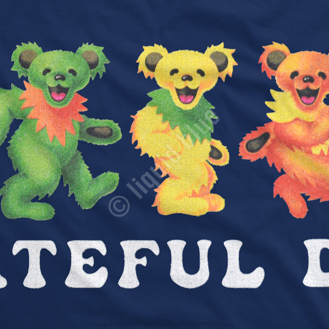 Liquid Blue Grateful Dead Spiral Bear 3.0 Tee – DTLR