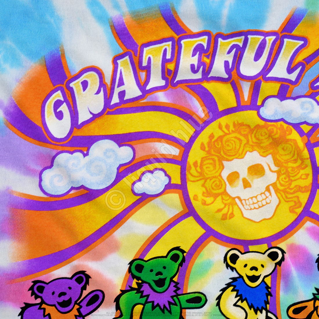 Grateful Dead Kids Dancing Bears Tie Dye at Sunshine Daydream