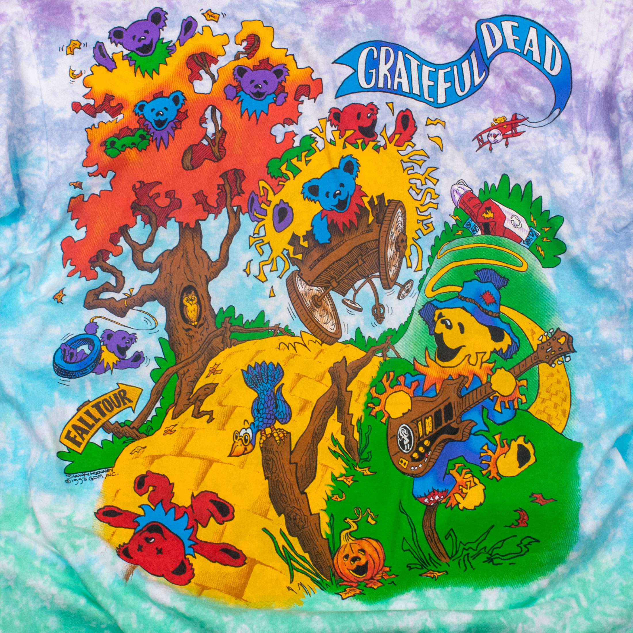 Grateful Dead Hayride 93 Rise & Fall Tour Tie-Dye T-Shirt Tee