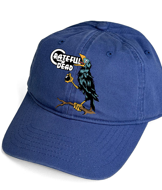 Grateful Dead Birdsong Hat