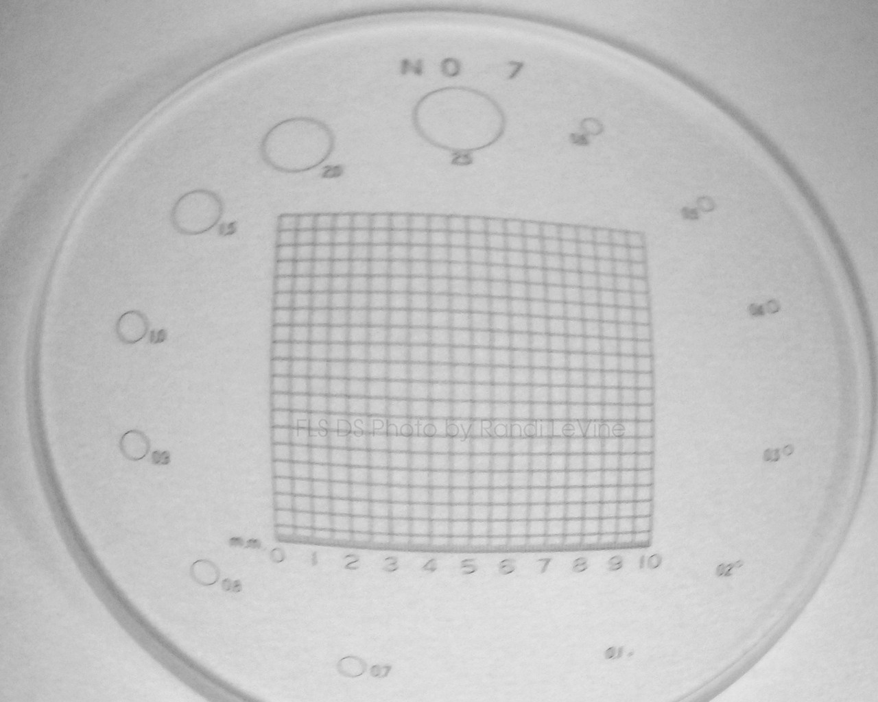 No. 7 Scale Reticle, Peak Scale Loupe Measuring Magnifier 7X 1975 , pk-1975-7