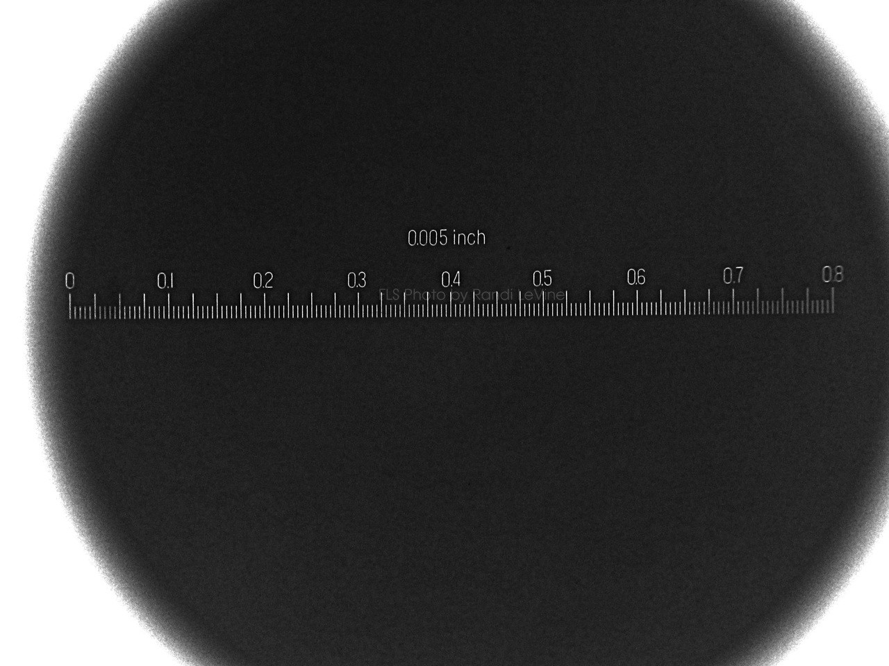 White Scale, Peak Reticle # 13 Inch, 1983 , Scale-13W-1983