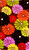 Beach Towel in Umbrella Flower Brown