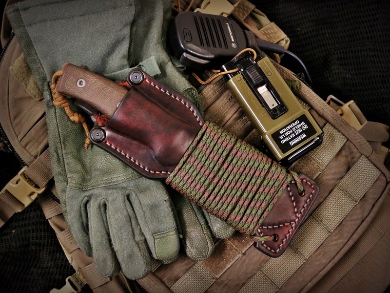 sawtoothgear1small.jpg