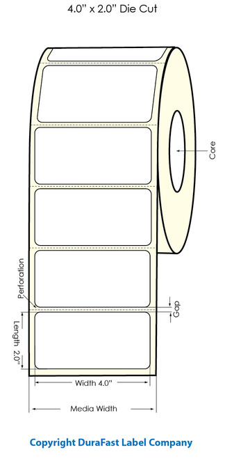 Primera LX900 4" x 2" Clear Polyester Labels