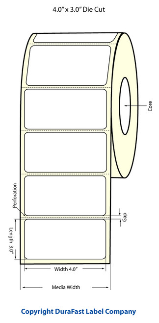 Primera LX900 4 "x 3" Matte Paper Labels 800/Roll