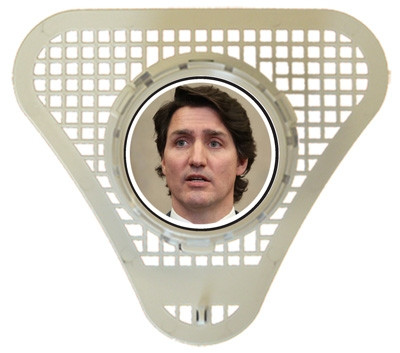 Trudeau Urinal Cake