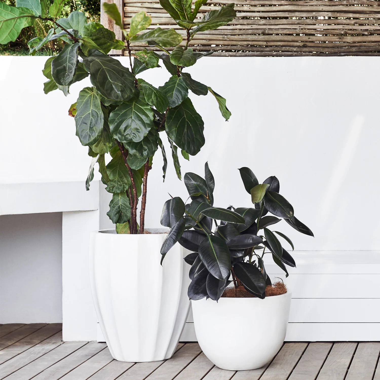 Allia Concrete Planter