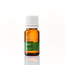 Oil Garden Ginger Pure Essential Oil 12mL 6620040