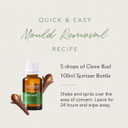 Clove Bud Pure Essential Oil Bulk Pack 25mL - x3