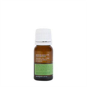 Aromatic Spice Essential Oil Blend 12mL Aromatic Spice Essential Oil Blend 12mL