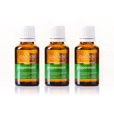 Peppermint Pure Essential Oil Bulk Pack 25ml - x3