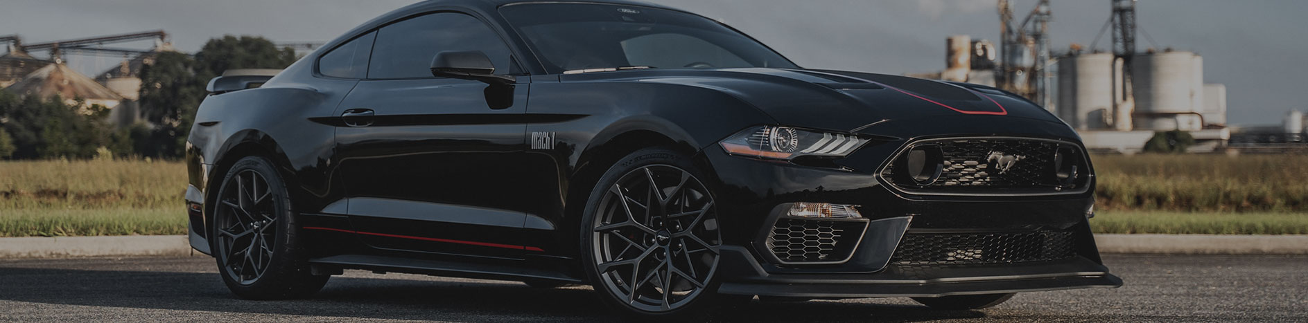 Ford Racing Parts | Steeda