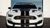 Phoenix CF Designs Mustang GT350 GT4 Style Hood Vent Package - Matte (2016-2020)