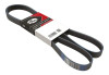 Gates Mustang V8 Serpentine Belt - A/C (1981, 1985)