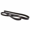 Motorcraft JK6682 FR3Z-8620-B Mustang Serpentine Belt - Accessory Drive (2015-2023)