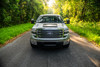 Steeda Premium Pinstripe Windshield Decal