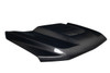 Carbon Creations F-150 Carbon Fiber Adventure Hood (2021-2025)