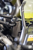 Steeda F-150 5.0L Premium Passenger Side Oil Separator (2015-2026)