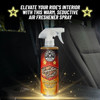 Chemical Guys Signature Scent Air Freshener & Odor Eliminator