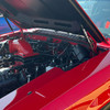 MRT Mustang Hood Struts - Black (1979-1993)