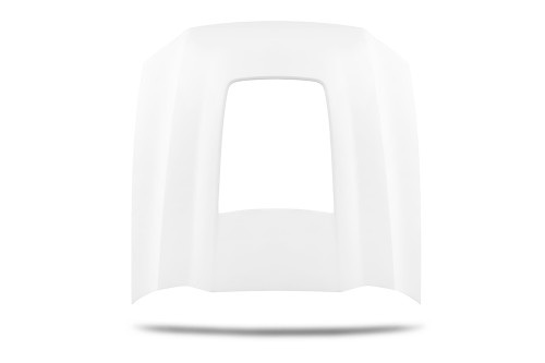 Cervini's Mustang GT500 Style Hood (2013-2014)