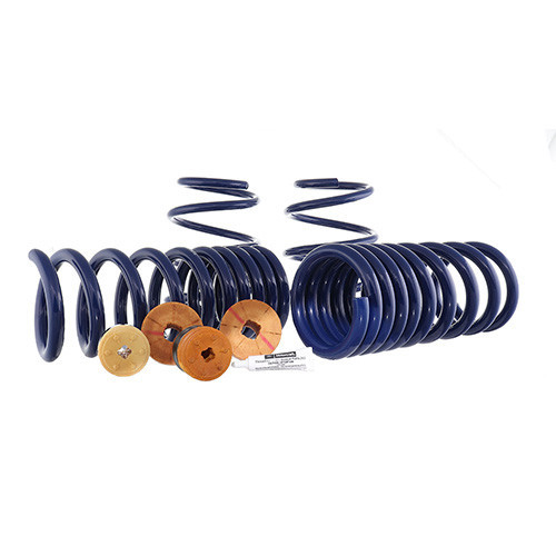 Ford Performance Mustang 2.3L Track Lowering Springs - Coupe (2024+)