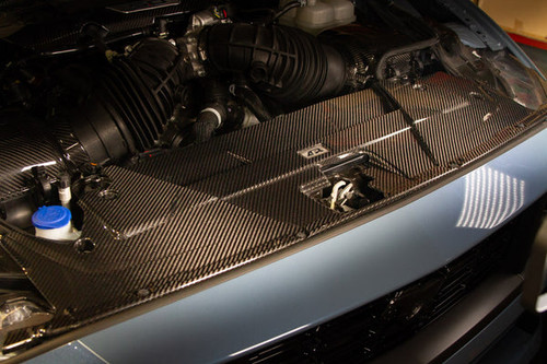 APR Performance Mustang Carbon Fiber Cooling Plate (2024-2026)