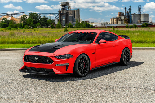 Steeda Premium Pinstripe Windshield Decal