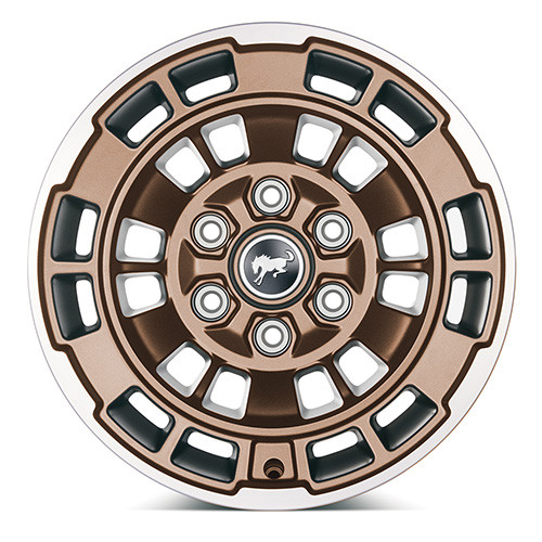 Ford Performance Bronco 17x8.5 5pc Wheel Kit - Sinister Bronze (2021-2024)