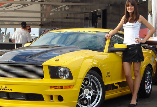 Steeda Windshield Decal - Yellow