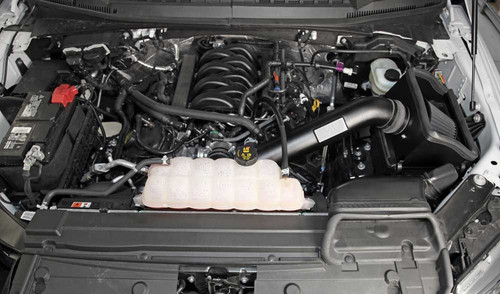 K&N F-150 5.0L Blackhawk Cold Air Intake System (2015-2023)