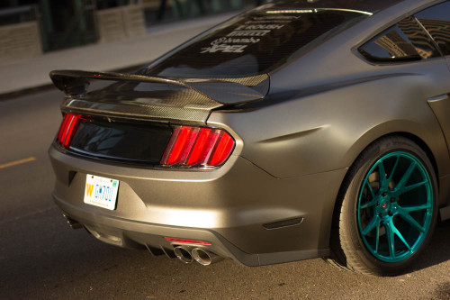 Mustang GT - Sarel van Staden on Fstoppers